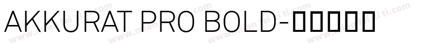 AKKURAT PRO BOLD字体转换